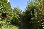 Images for Lenham, Maidstone, Kent