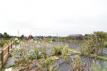 Images for Lenham Heath, Maidstone, Kent