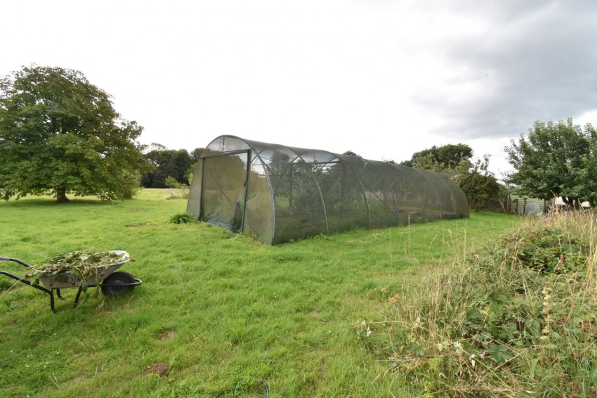 Images for Hogbarn Lane, Harrietsham, Kent
