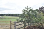 Images for Bearsted, Maidstone, Kent