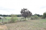 Images for Bearsted, Maidstone, Kent