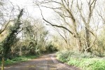 Images for Downswood, Maidstone, Kent