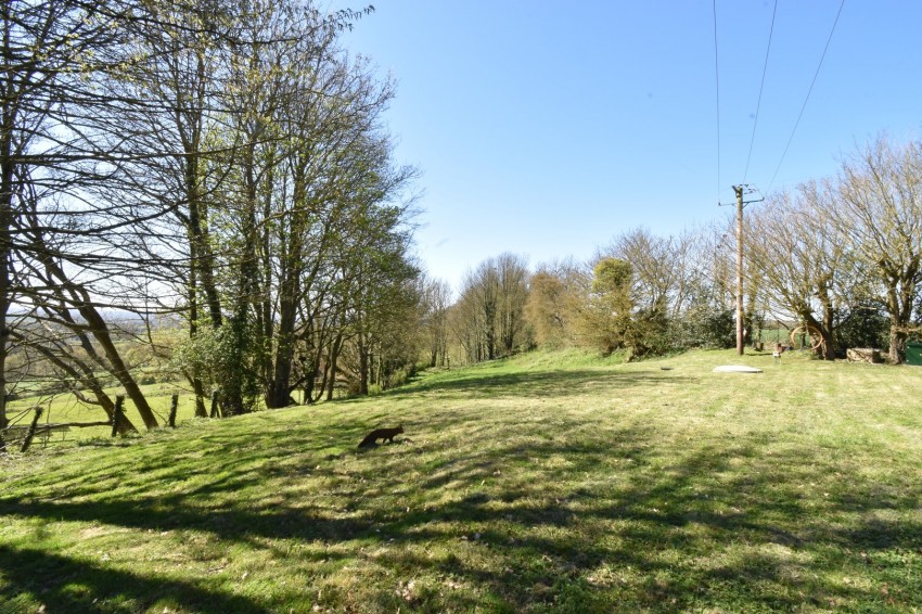 Images for Sandway, Maidstone, Kent