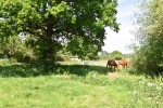 Images for Church Hill, Charing Heath, Kent
