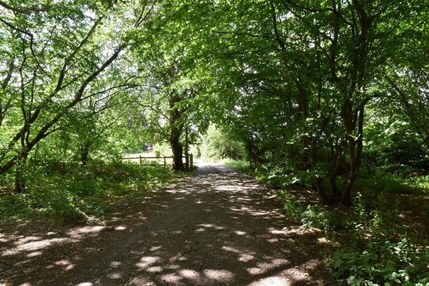 Images for Harrietsham, Maidstone, Kent